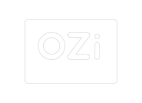 OZi Logo (EUIPO, 03/19/2019)