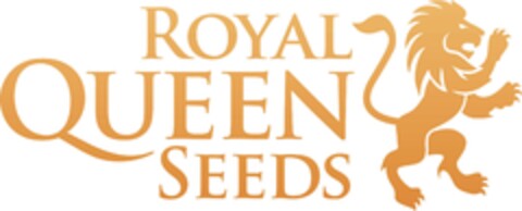 ROYAL QUEEN SEEDS Logo (EUIPO, 27.08.2020)