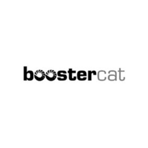 boostercat Logo (EUIPO, 02.12.2005)