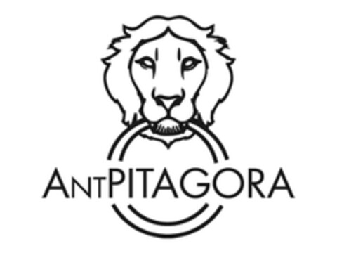 ANTPITAGORA Logo (EUIPO, 20.05.2013)