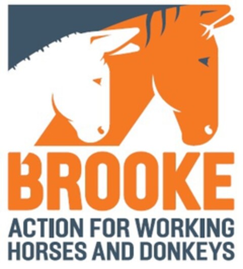 BROOKE ACTION FOR WORKING HORSES AND DONKEYS Logo (EUIPO, 03/16/2016)