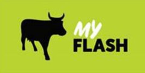 MY FLASH Logo (EUIPO, 03/29/2018)