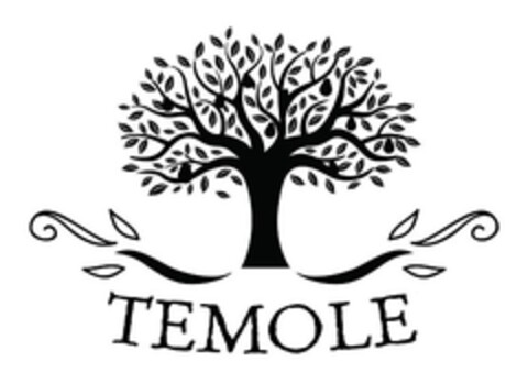 TEMOLE Logo (EUIPO, 08.07.2020)