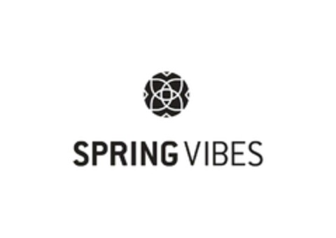 SPRING VIBES Logo (EUIPO, 03/05/2024)