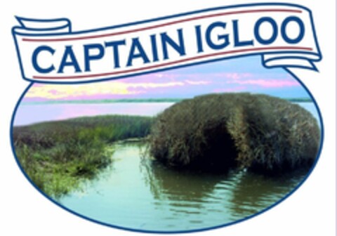 CAPTAIN IGLOO Logo (EUIPO, 11/24/2007)