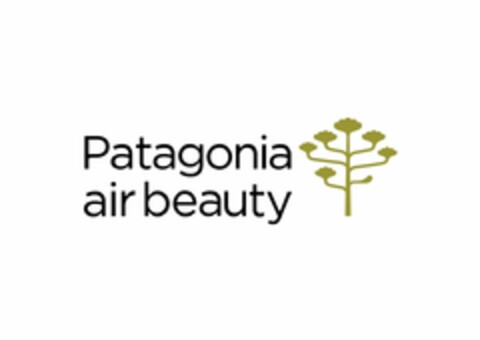 PATAGONIA AIR BEAUTY Logo (EUIPO, 09/06/2021)