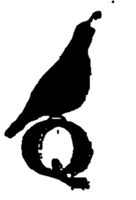 Q Logo (EUIPO, 10.02.1999)