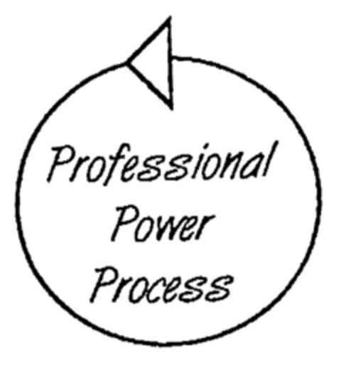 Professional Power Process Logo (EUIPO, 28.12.2000)