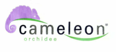 cameleon orchidee Logo (EUIPO, 31.07.2002)