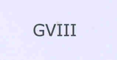 GVIII Logo (EUIPO, 14.07.2005)