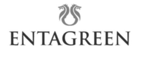 ENTAGREEN Logo (EUIPO, 02/24/2015)