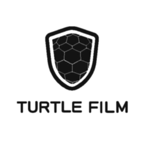 TURTLE FILM Logo (EUIPO, 08/21/2018)