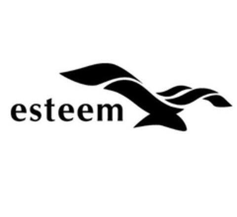 esteem Logo (EUIPO, 19.01.2009)