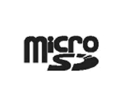 micro SD Logo (EUIPO, 07.04.2009)