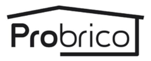 Probrico Logo (EUIPO, 30.06.2020)