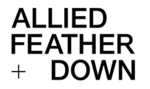 ALLIED FEATHER + DOWN Logo (EUIPO, 22.02.2023)