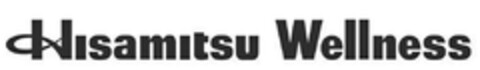 Hisamitsu Wellness Logo (EUIPO, 07/25/2023)