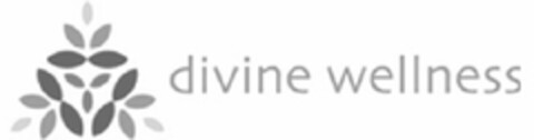 DIVINE WELLNESS Logo (EUIPO, 15.04.2010)