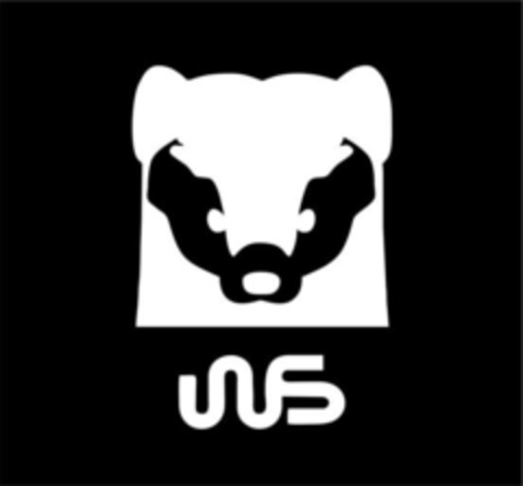 WS Logo (EUIPO, 16.11.2020)
