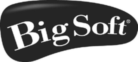 BIG SOFT Logo (EUIPO, 07/27/2010)