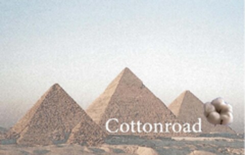 Cottonroad Logo (EUIPO, 11.03.2015)