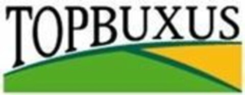 TOPBUXUS Logo (EUIPO, 28.04.2017)