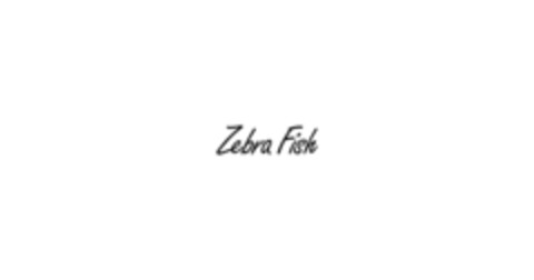 ZEBRA FISH Logo (EUIPO, 25.05.2017)