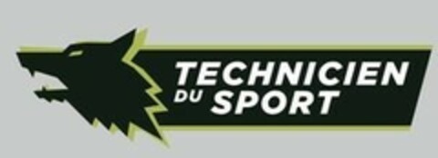 TECHNICIEN DU SPORT Logo (EUIPO, 06/04/2018)