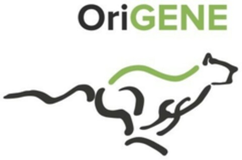 ORIGENE Logo (EUIPO, 05.06.2019)