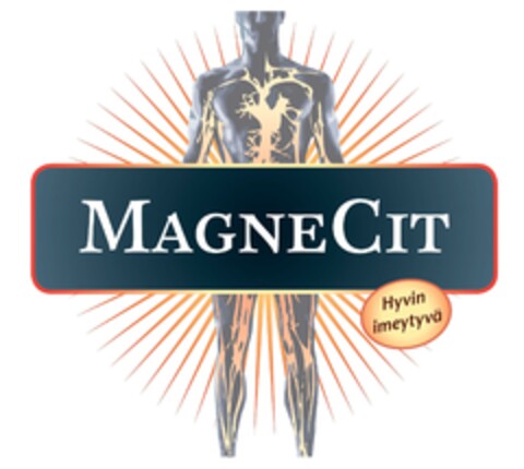 MAGNECIT Hyvin imeytyvä Logo (EUIPO, 12.06.2024)