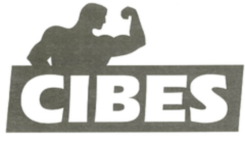 CIBES Logo (EUIPO, 30.05.2006)