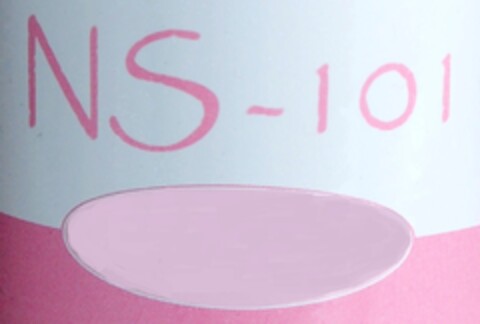 NS-101 Logo (EUIPO, 04.06.2013)