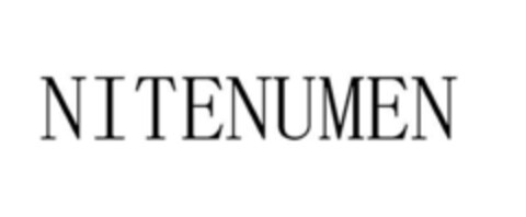 NITENUMEN Logo (EUIPO, 27.10.2014)