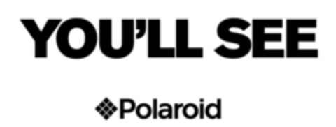 you'll see polaroid Logo (EUIPO, 13.03.2015)