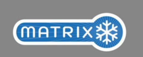 MATRIX Logo (EUIPO, 02/24/2020)