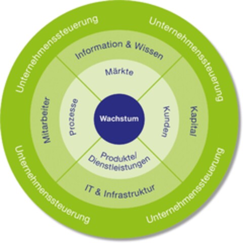 Wachstum Prozesse Märkte Kunden Produkte/Dienstleistungen Mitarbeiter Information & Wissen Kapital IT & Infrastruktur Unternehmenssteuerung Logo (EUIPO, 08/06/2010)