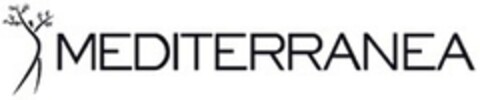 MEDITERRANEA Logo (EUIPO, 10.02.2016)