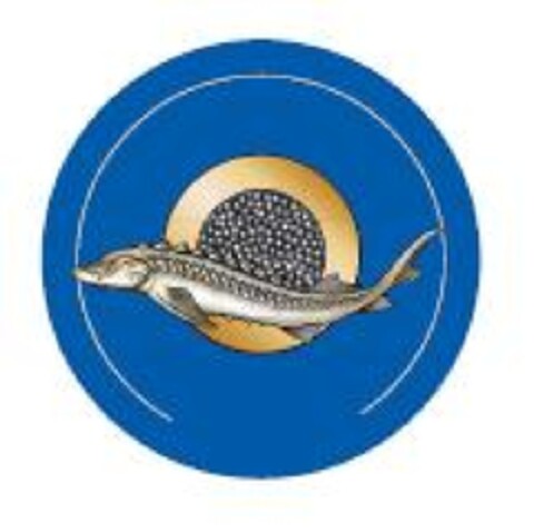 Logo (EUIPO, 05/17/2011)
