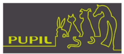 PUPIL Logo (EUIPO, 07.01.2013)