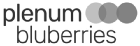 plenum bluberries Logo (EUIPO, 03/17/2020)