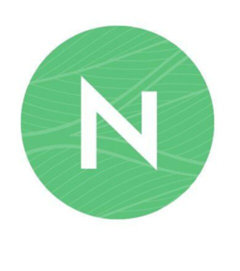 N Logo (EUIPO, 03/07/2023)