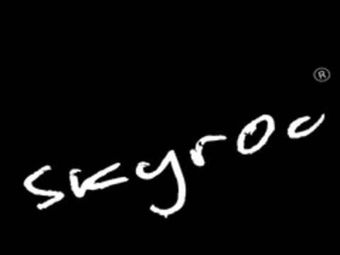 skyroc Logo (EUIPO, 19.05.2004)