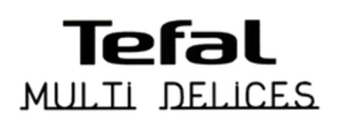 Tefal MULTI DELICES Logo (EUIPO, 24.02.2011)