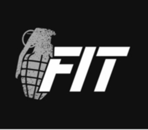 FIT Logo (EUIPO, 21.10.2015)