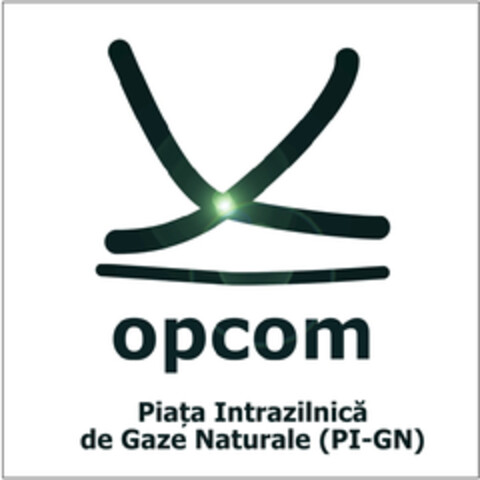 opcom Piața  Intrazilnică de Gaze Naturale (PI-GN) Logo (EUIPO, 06/18/2019)