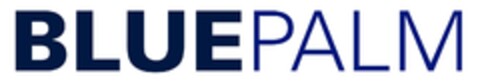 BLUEPALM Logo (EUIPO, 11.05.2021)