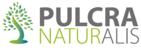 PULCRA NATURALIS Logo (EUIPO, 20.08.2021)