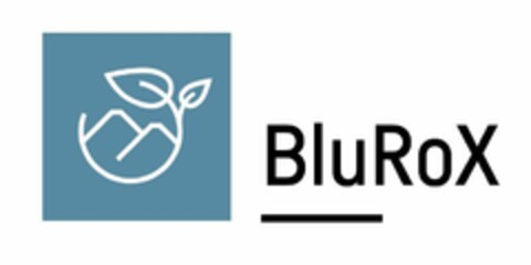 BluRoX Logo (EUIPO, 21.06.2022)