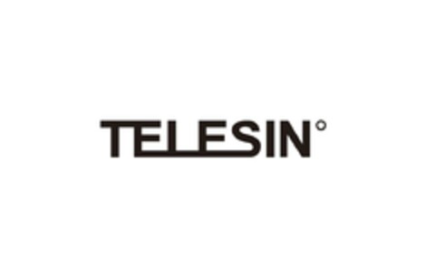 TELESIN Logo (EUIPO, 21.06.2023)