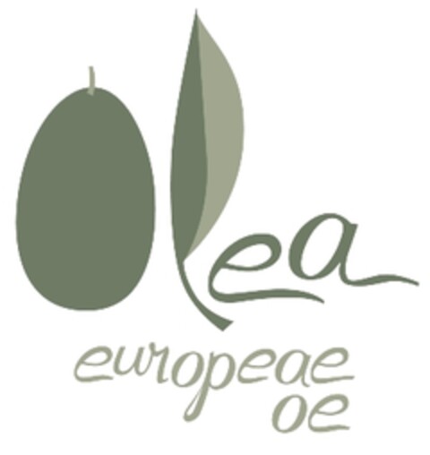 olea europeae oe Logo (EUIPO, 19.02.2007)